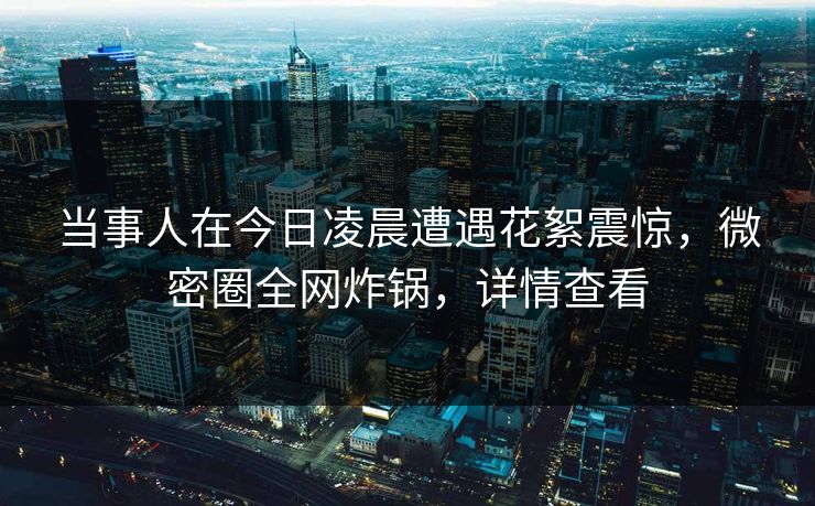 当事人在今日凌晨遭遇花絮震惊，微密圈全网炸锅，详情查看