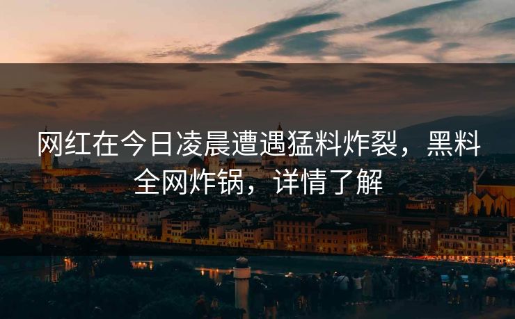 网红在今日凌晨遭遇猛料炸裂，黑料全网炸锅，详情了解