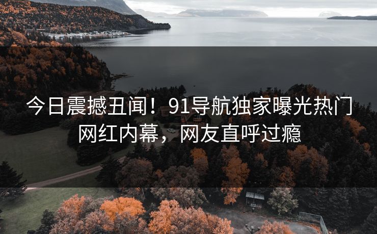 今日震撼丑闻！91导航独家曝光热门网红内幕，网友直呼过瘾