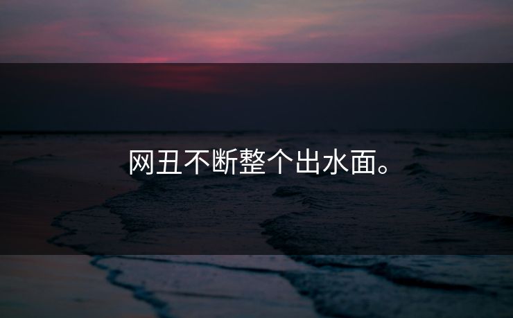 网丑不断整个出水面。