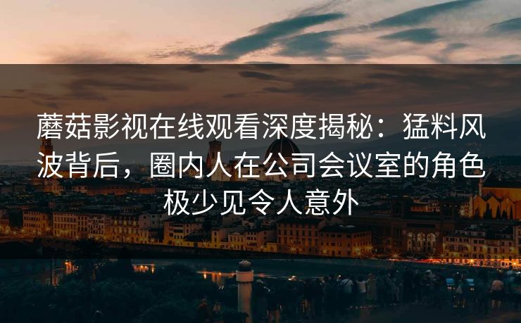蘑菇影视在线观看深度揭秘：猛料风波背后，圈内人在公司会议室的角色极少见令人意外