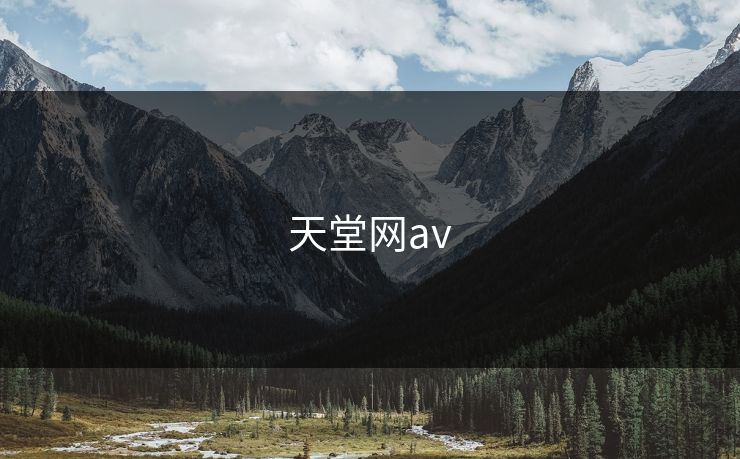 天堂网av